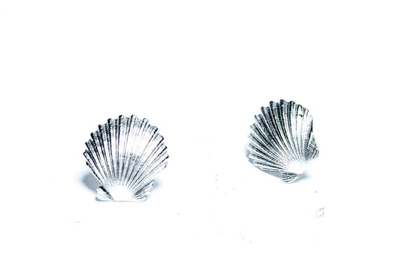 Mini Sea Shell Stud Earrings